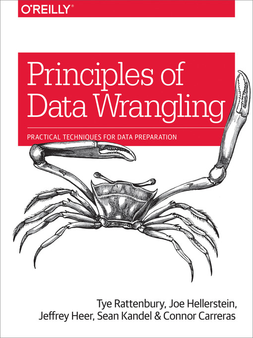 Title details for Principles of Data Wrangling by Tye Rattenbury - Available